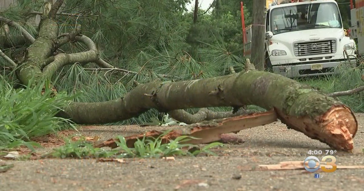 'Trees Were Bending': Thousands Remain Without Power In New Jersey As ...
