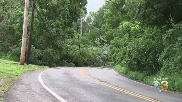delaware-county-tree-down.jpg 