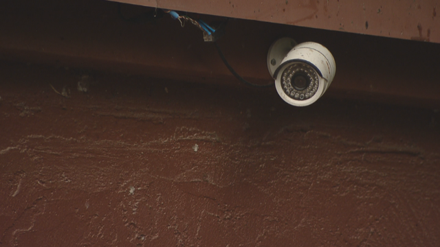 BEAR DUMPSTER 10PKG.transfer_frame_135 