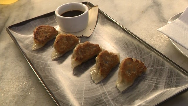 Duck-Gyoza-Mandrake-Miami.jpg 