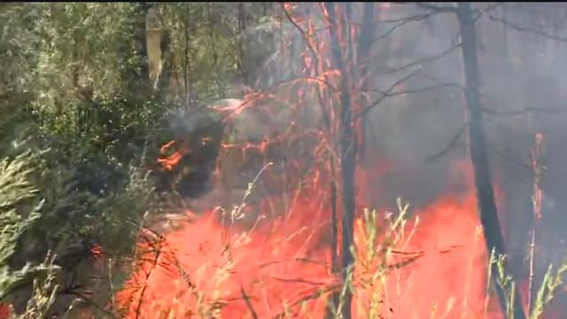 GRASS-FIRE-WEST-SAC.jpg 