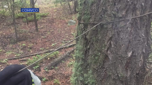 TRAIL WIRES 6PKG.transfer_frame_361 