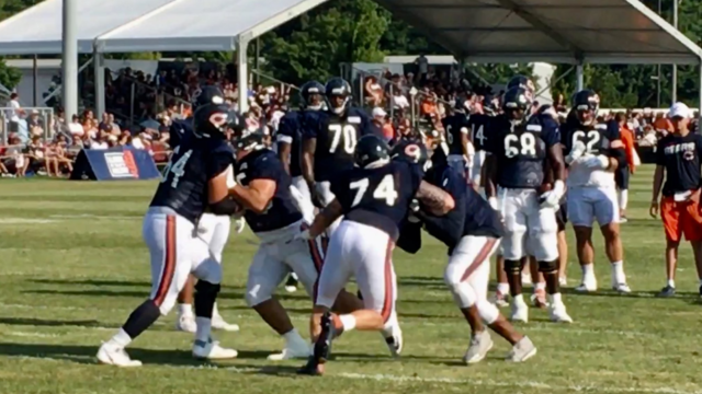 bears-open-practice-padded.png 