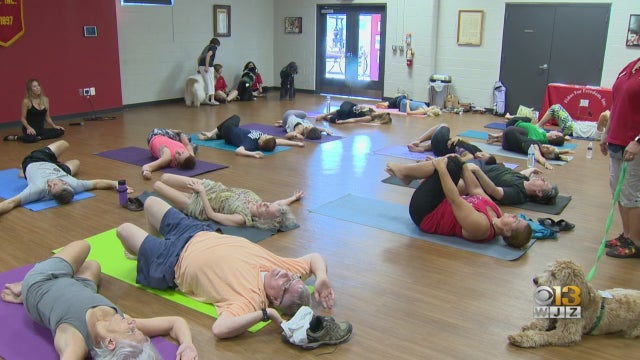 0728puppyyoga.jpg 