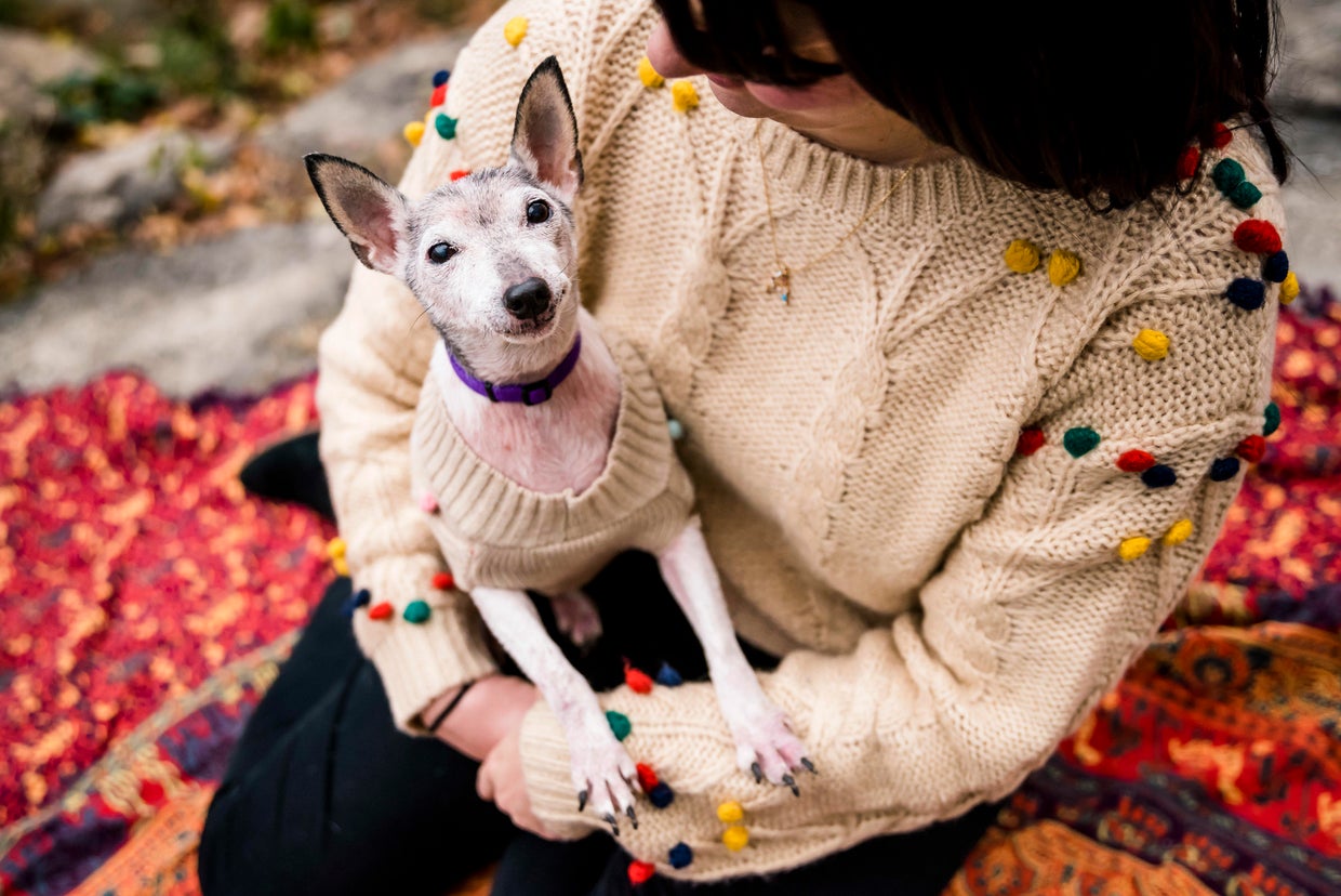 Animal rescue "Fospice" program gives senior and terminally ill