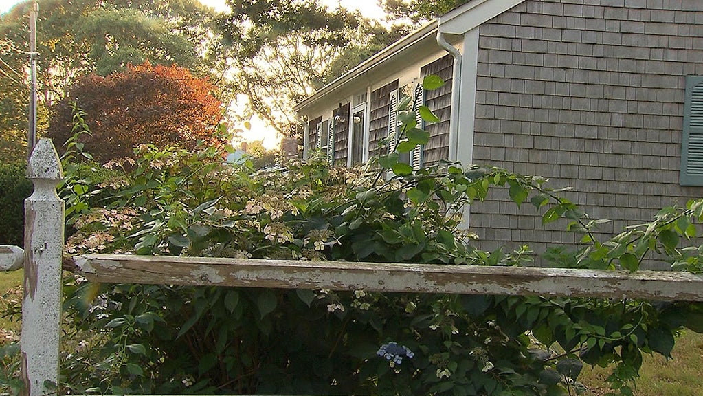 Cape Cod 