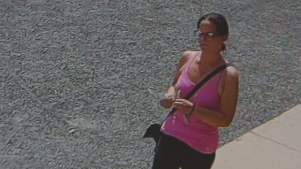 STOLEN DOG 5PKG.transfer_frame_1687 