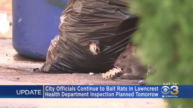 Philadelphia-Health-Department-Inspection-Planned-Wednesday-In-Lawncrest-Neighborhood-Infested-With-Rats.jpg 