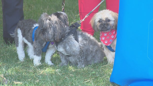 DFD RESCUE REUNION 5PKG_frame_554