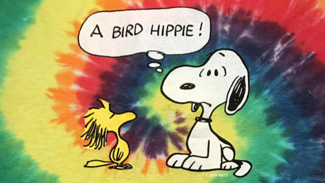 charlie brown characters snoopy and bird