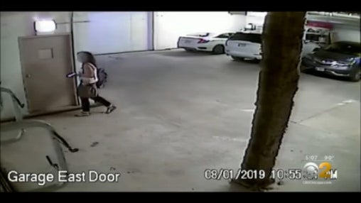 dog-walker.jpg 