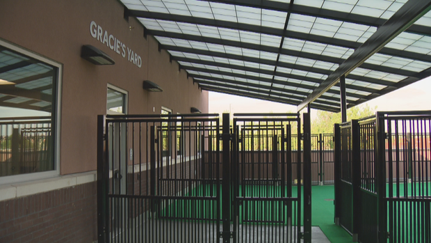 DDFL NEW SHELTER 10PKG.transfer_frame_2217