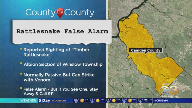 rattlesnake-winslow-township.jpg 