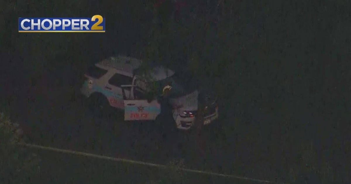 Squad Car Slams Into Tree In Garfield Park - CBS Chicago