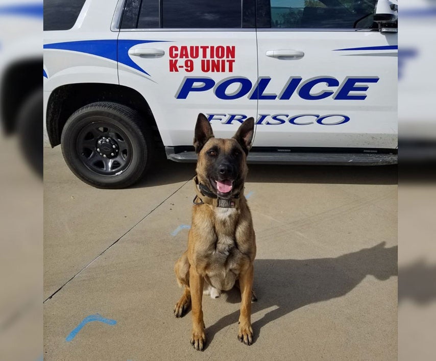 RIP K9 Officer Boris 2 Year Veteran Of Frisco Police Department Dies