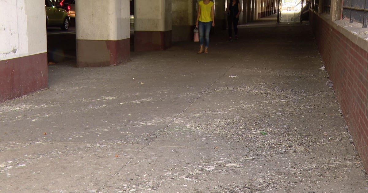 'It Stinks To High Heaven' No Solution In Sight For Pigeon Poop