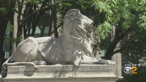 new-york-public-library-lion-04 