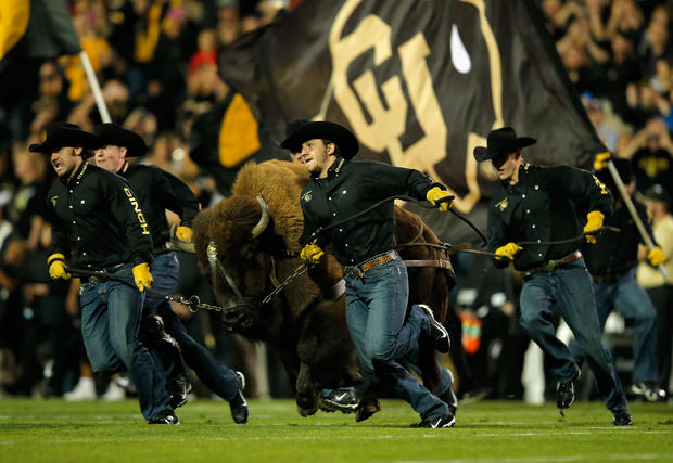 Ralphie mascot University of Colorado Buffaloes 