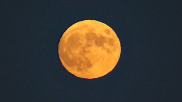 46583_sturgeon_moon_081419.jpg 