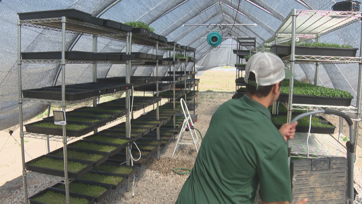 FIRST GENERATION FARMER 10PKG.transfer_frame_1423 