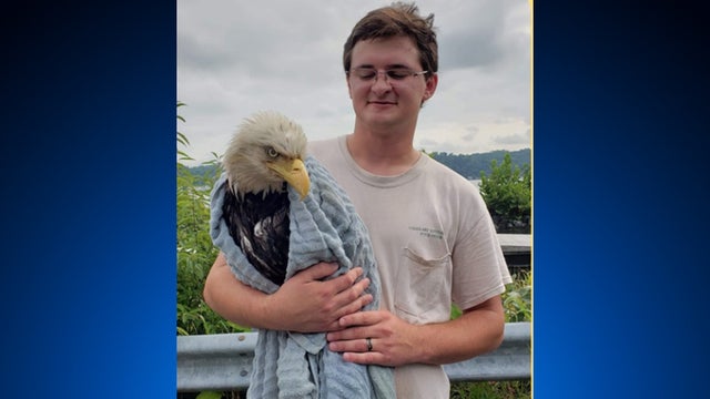 Eagle-Rescued.jpg 