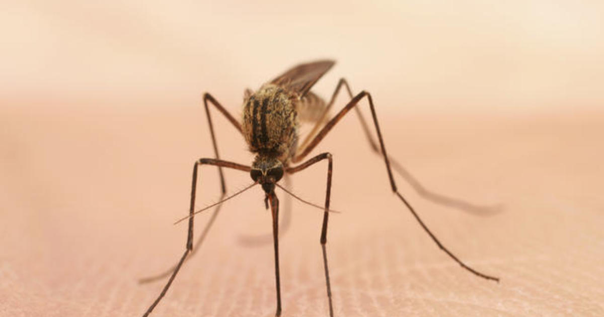 Denver health officials confirm first human case of West Nile virus this year