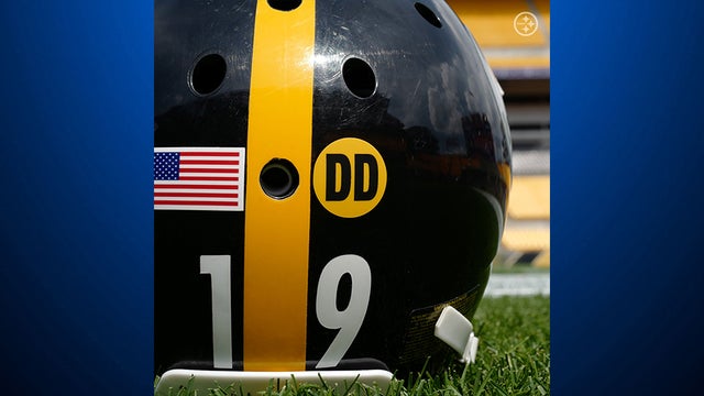 pittsburgh-steelers-darryl-drake-helmet-decal.jpg 