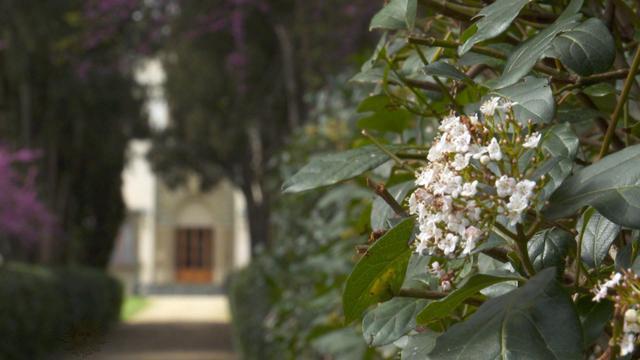 0818-sunmo-tuscangarden-1914469-640x360.jpg 