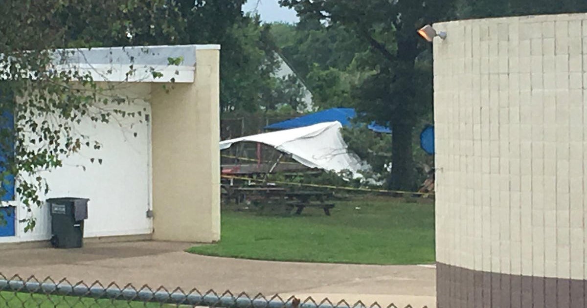 Lightning strike At least 9 injured from fallen tree, downed tent at