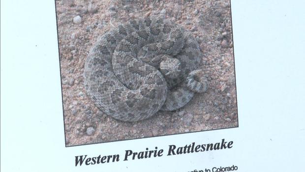 zorro trail rattlesnake warning sign 