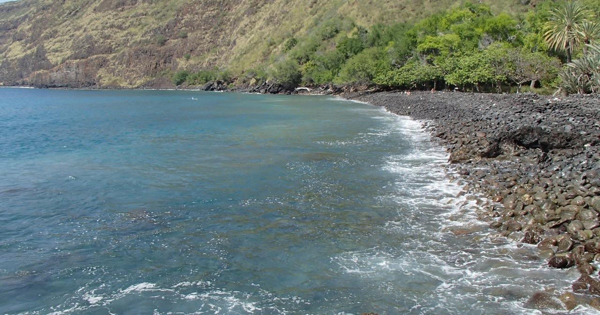 Shark attack today Woman bitten twice while swimming in Kealakekua Bay