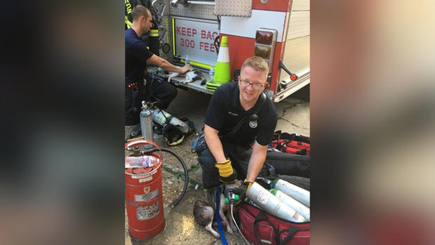 Evanston Fire Pet Rescue 