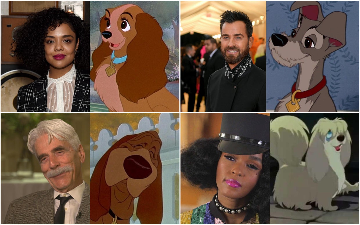 "Lady and the Tramp" 2019 Rescue dog Monte from Phoenix, Arizona, to(02)