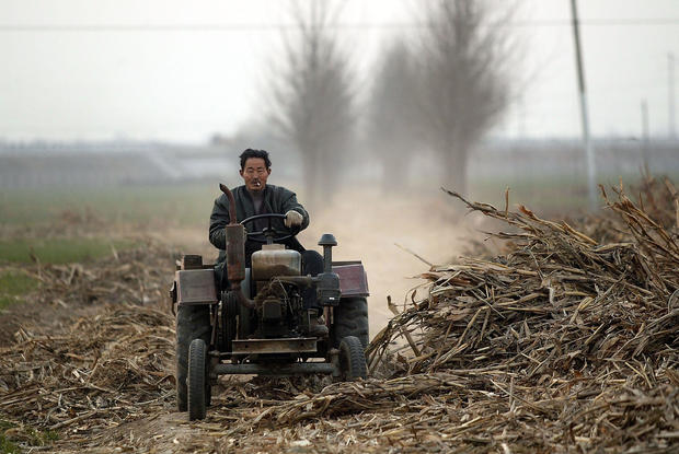Chinese Farmers Face Stricter Rules On Farm Product Exports From Japan And EU 
