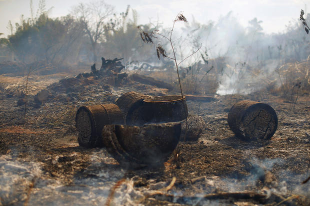 A view of the devastation caused by a fire during the dry season in Brasilia 