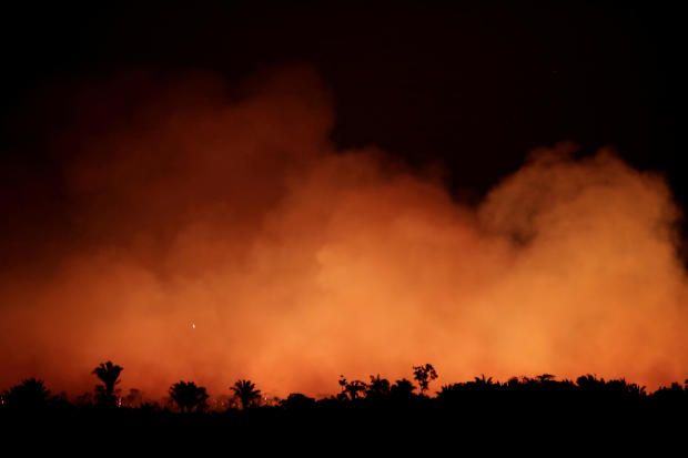 Fire in an area of the Amazon rainforest near Humaita, Brazil 