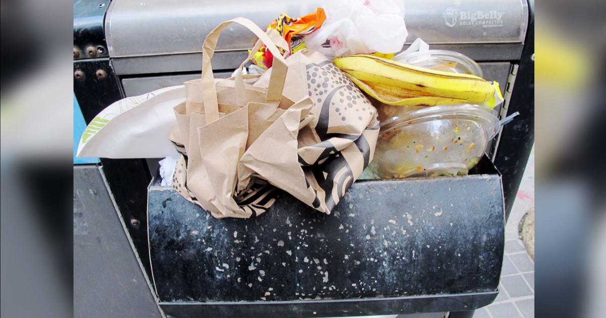 Why You Should Avoid Having Overflowing Garbage Bins - Sweitzer Waste