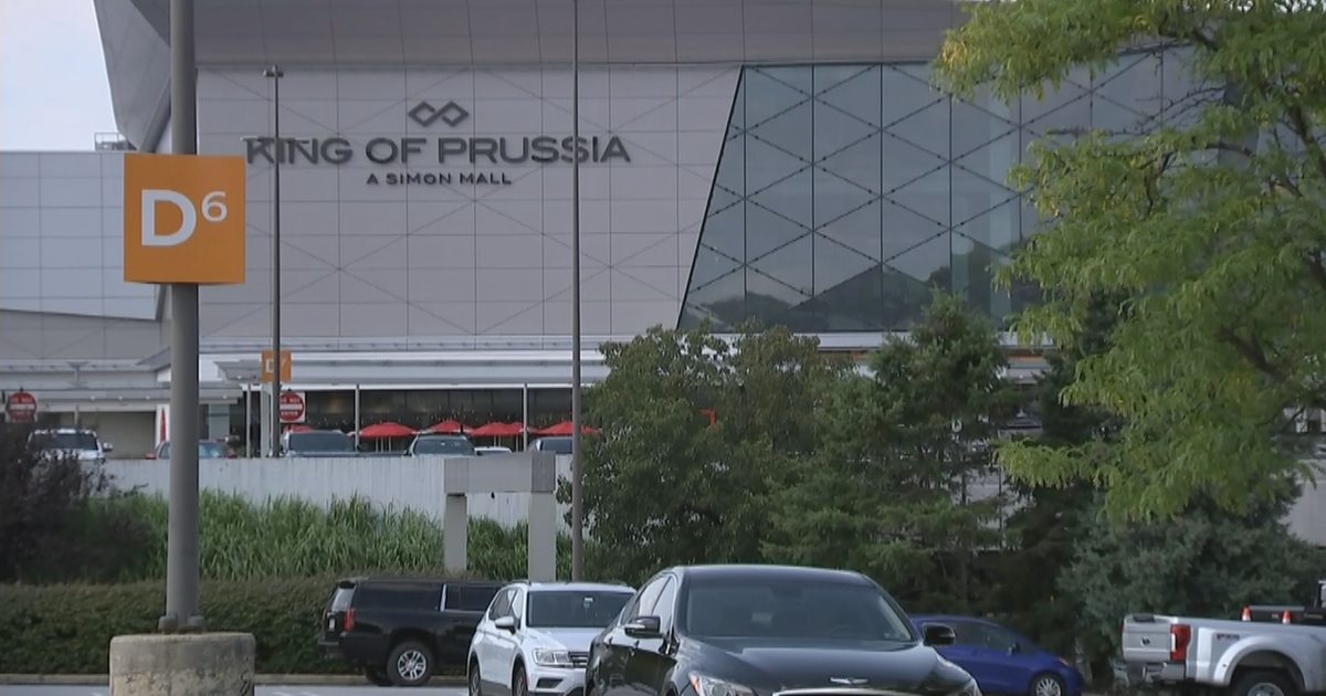 CBS3 SummerFest: King Of Prussia Mall By The Numbers - CBS