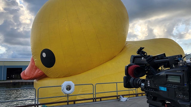 Rubber-Duck-2.jpg 