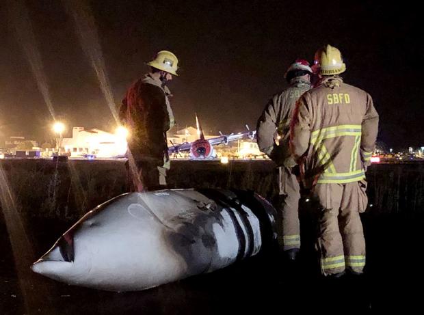 7 Survive Fiery Plane Crash At Santa Barbara Airport 
