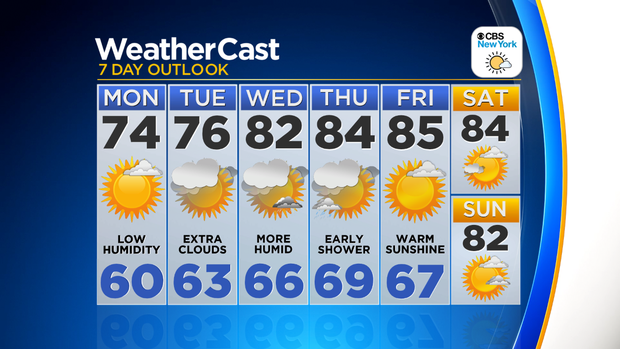 Nu_Tu_7Day_Auto_Logo 