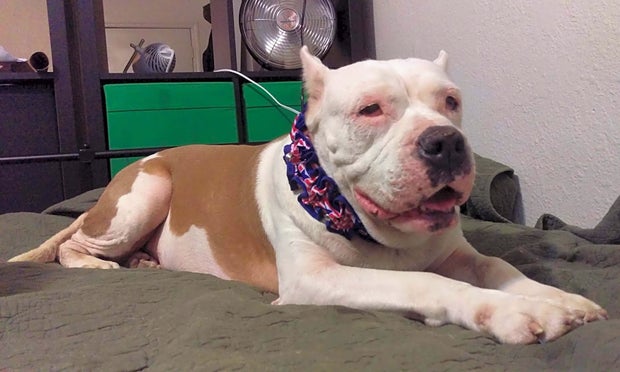 Star (Hoodline Do Not Use) 