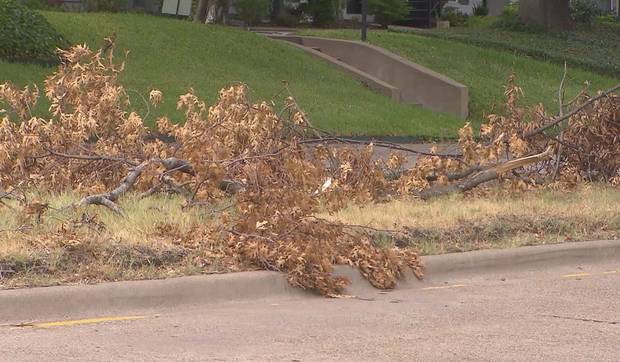 North Dallas storm damage 