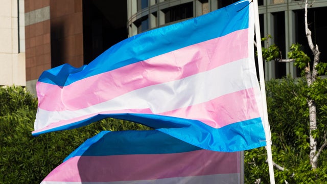 Trans_Pride_Flag_GettyImages-662116864.jpg 