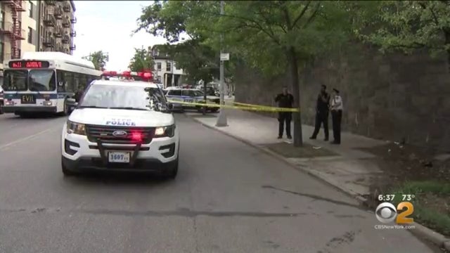 Bronx hit-and-run 