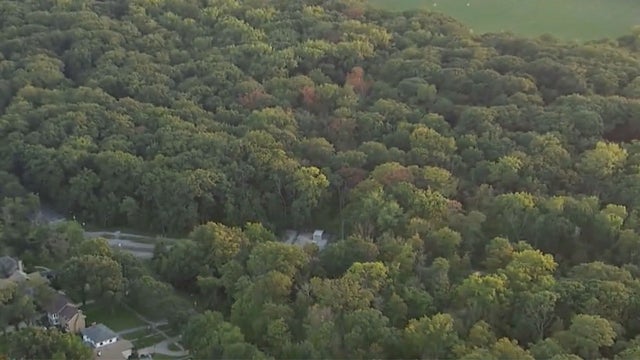 Maywood_Grove_Forest_Preserve_0905.jpg 