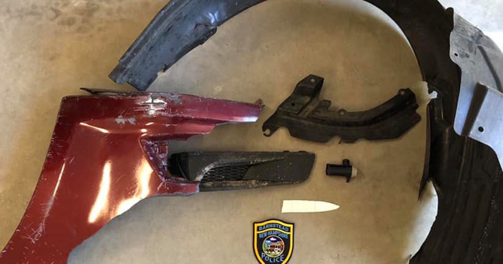 Barnstead, NH Police Seek HitAndRun Driver Who Killed Golden