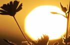 cbsn-fusion-experts-say-rising-global-temperatures-thumbnail-1927982-640x360.jpg 