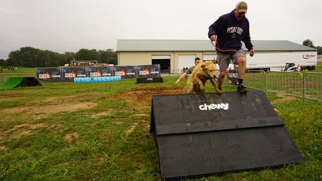ruff-mudder.jpg 