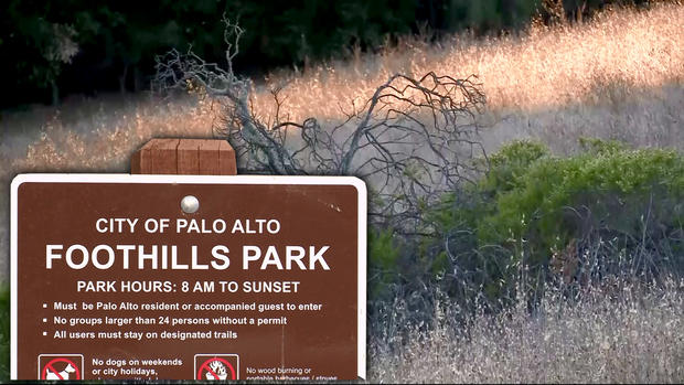Palo Alto Foothills Park (Photo Illustration) 